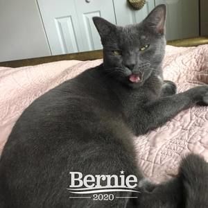 Meet your Posher, Paige